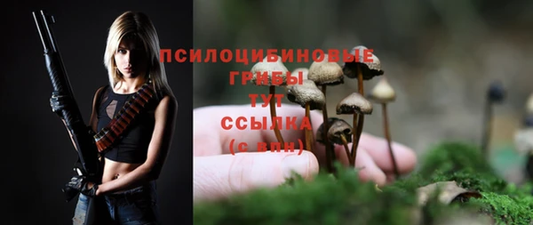 стафф Балабаново