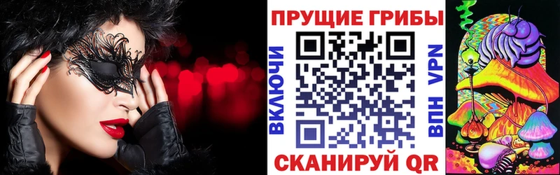 Псилоцибиновые грибы Psilocybe  купить наркоту  Заводоуковск 